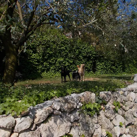 Montericco B&B