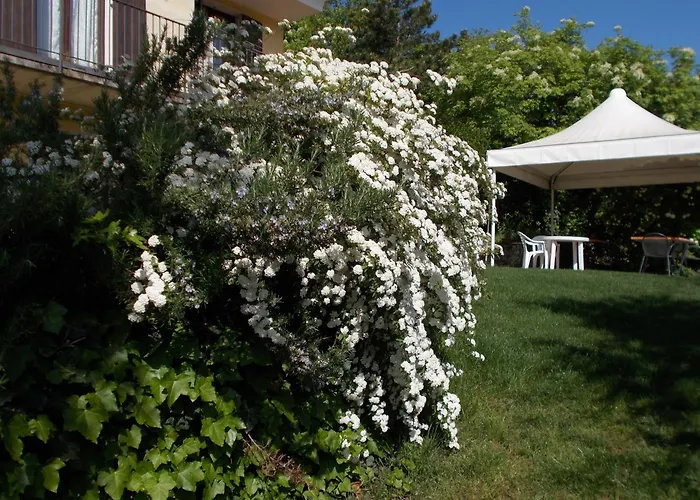 Montericco 3* Negrar